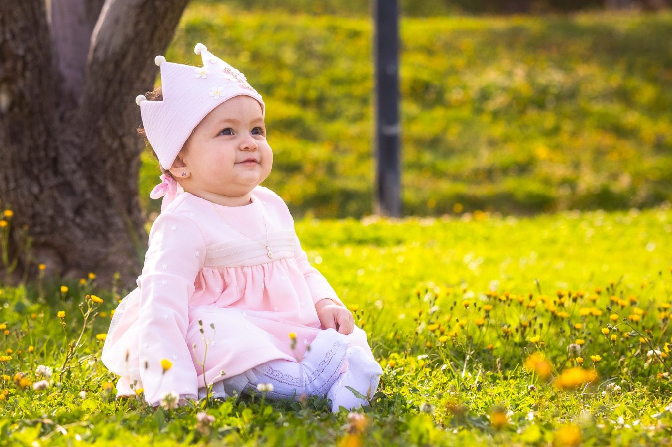 Niña pequeña sentada en la hierba, llevando un vestido rosa y una corona.